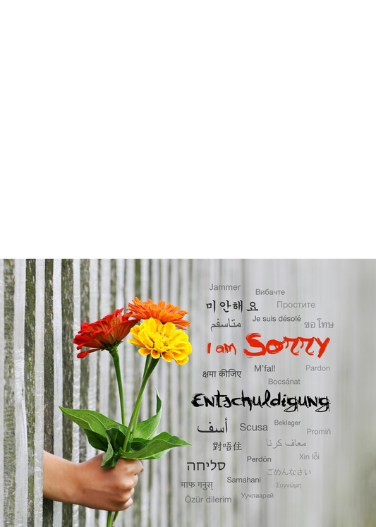 Postkarte "Entschuldigung", in 26 Sprachen - LILLYPARK